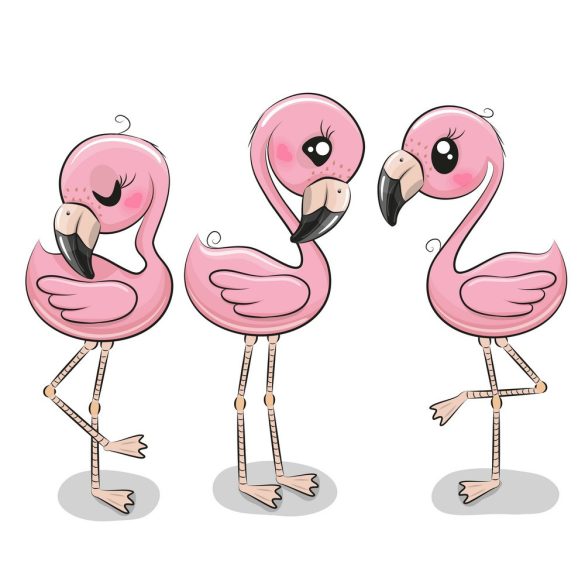 Flamingó 2 minta