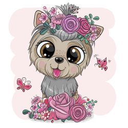 Yorkie lány 1 minta