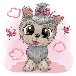 Yorkie lány 2 minta