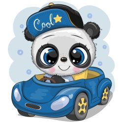 Panda fiú 3 minta