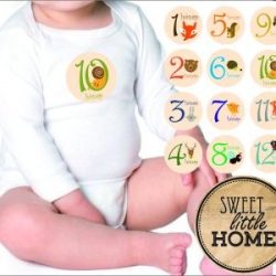 Erdei állatos babamatrica